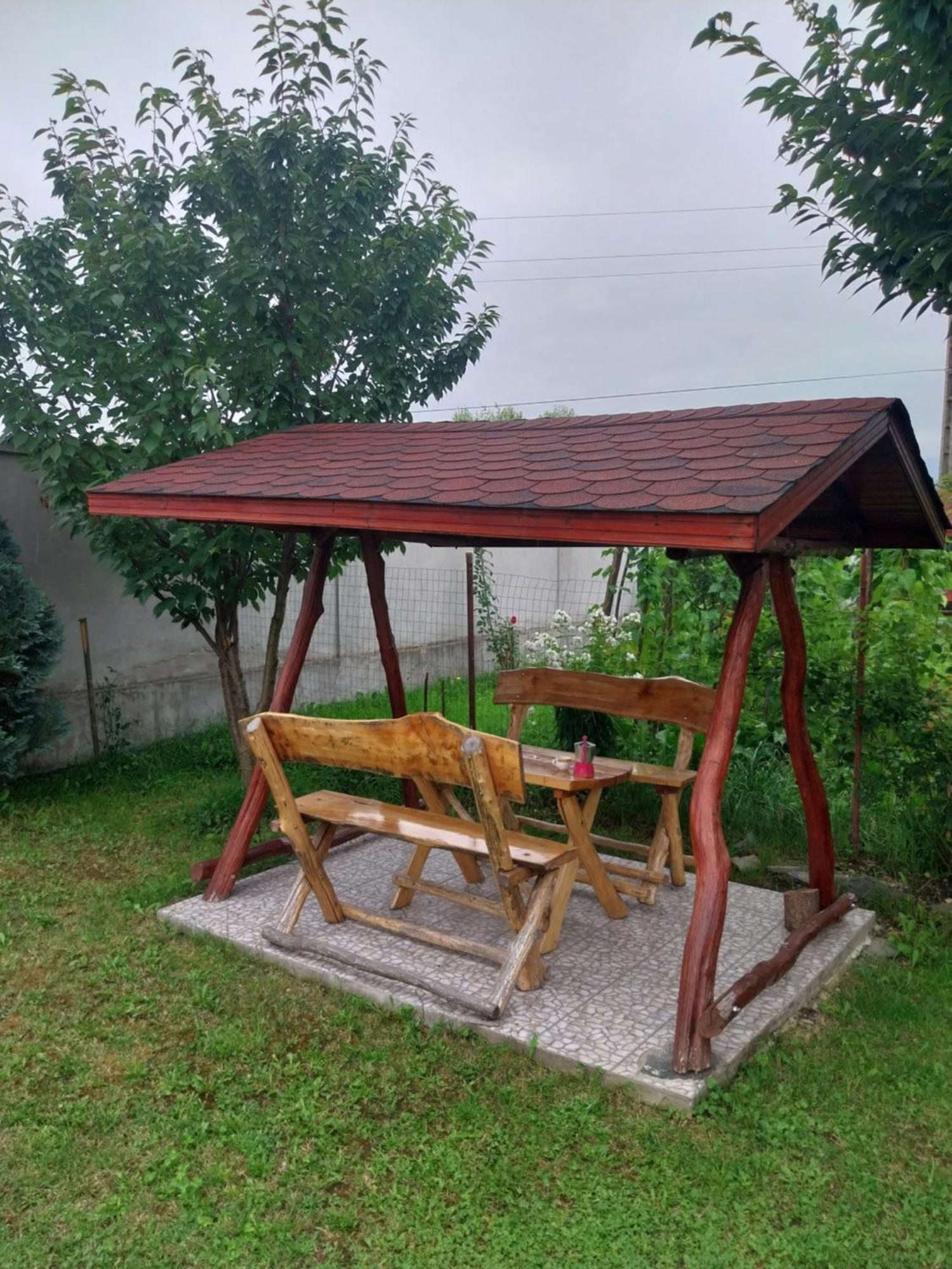 Serena House Cîrţişoara Buitenkant foto