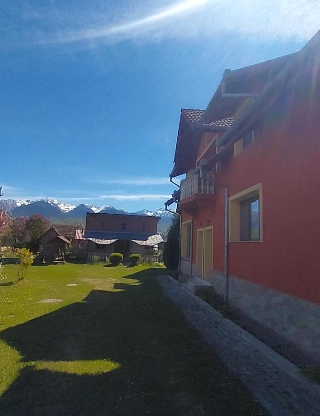Serena House Cîrţişoara Buitenkant foto